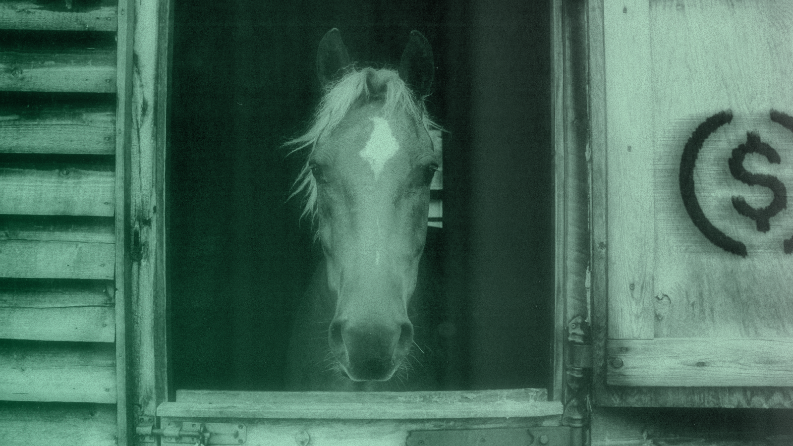 物尽其善：Chainflip 对稳定币的使用